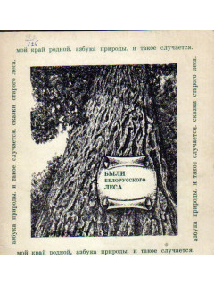 Были белорусского леса. Записки краеведа