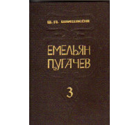 Емельян Пугачев. Историческое повествование в 3-х книгах. Том 3