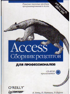 Access. Сборник рецептов для профессионалов