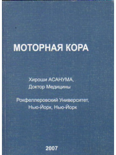 Моторная кора