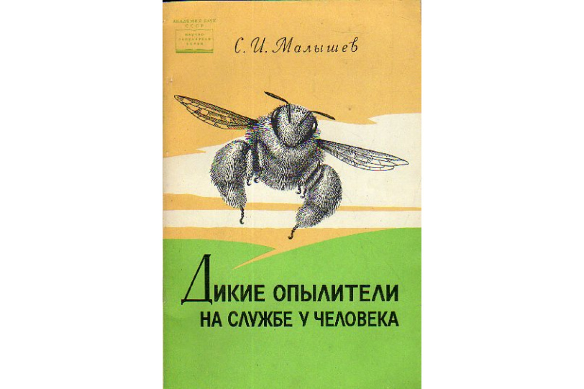 Дикие опылители на службе у человека