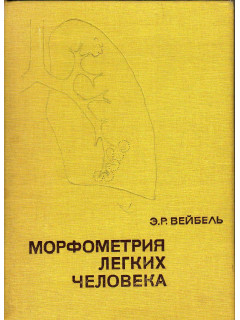 Морфометрия легких человека