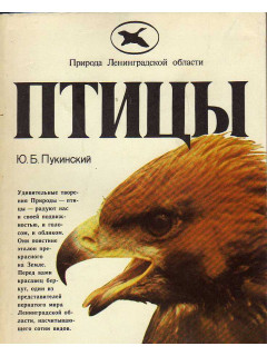 Птицы