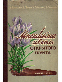 Многолетние цветы открытого грунта