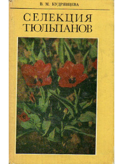 Селекция тюльпанов.