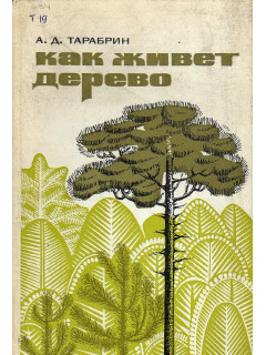 Как живет дерево.