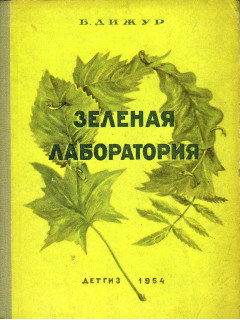 Зеленая лаборатория