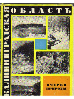 Калининградская область: Очерки природы