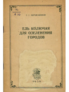Ель колючая для озеленения городов