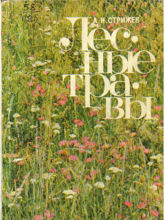 Лесные травы.