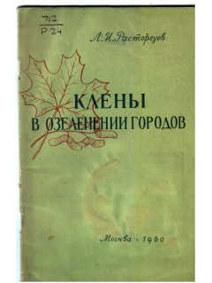 Клены в озеленении городов