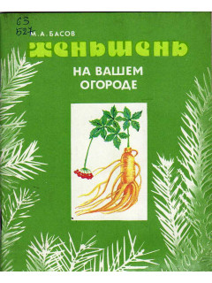 Женьшень на вашем огороде.