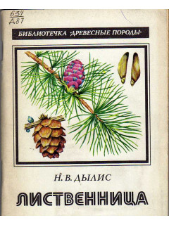 Лиственница.
