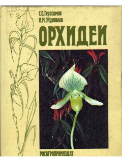 Орхидеи.