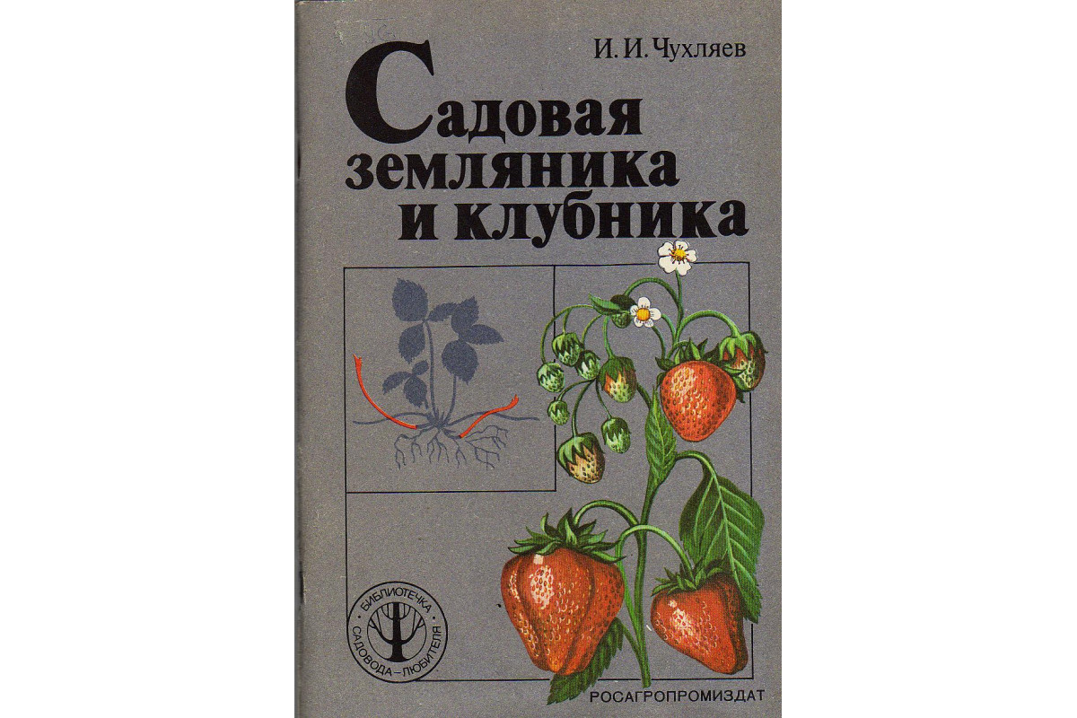 Книга Садовая земляника и клубника (Чухляев И.И.) 1988 г. Артикул: купить