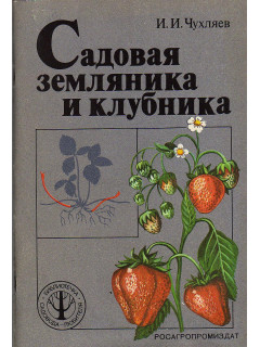 Садовая земляника и клубника