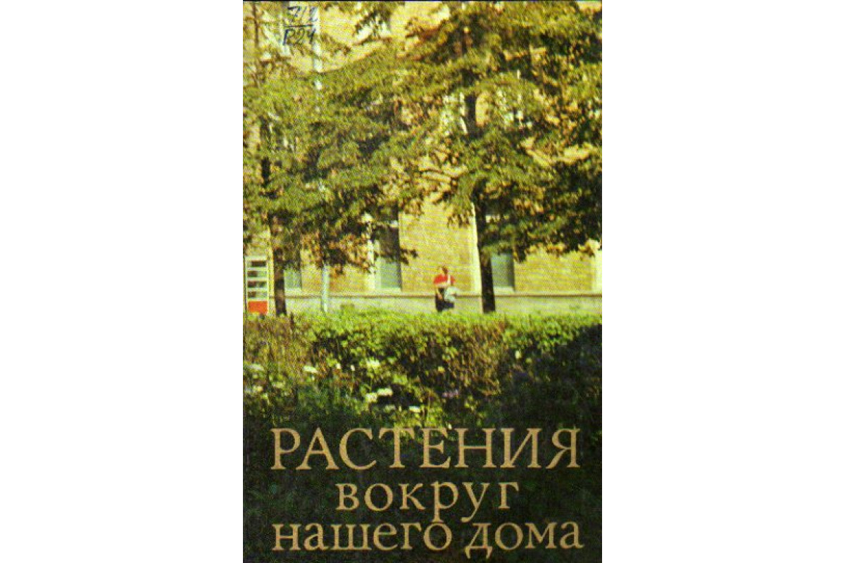 растения около нашего дома (100) фото