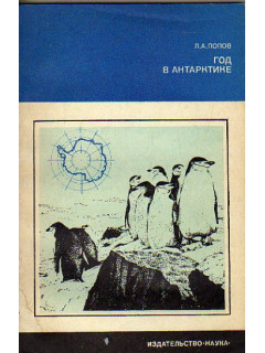 Год в Антарктике