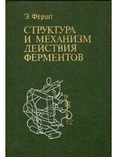 Структура и механизм действия ферментов