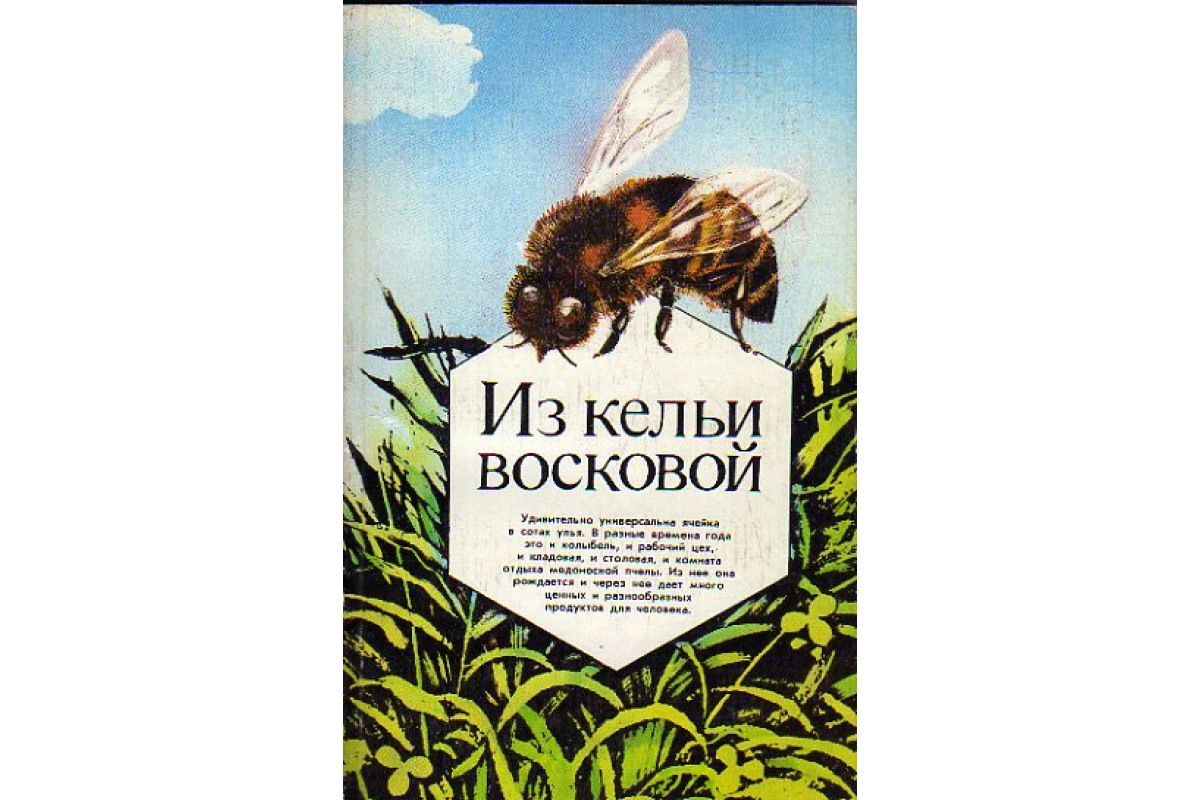 Книга Из кельи восковой (-) 1985 г. Артикул: 11178576 купить