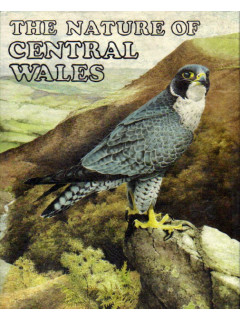 The Nature of Central Wales