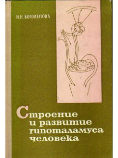 Строение и развитие гипоталамуса человека