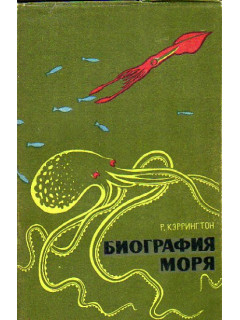 Биография моря