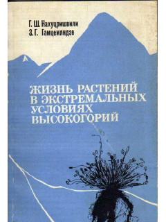 Жизнь растений в экстремальных условиях высокогорий (на примере Центрального Кавказа)