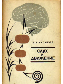 Слух и движение: физиологические основы слуходвигательной координации